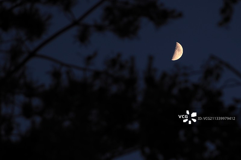 德国埃尔兰根夜空中的月亮图片素材