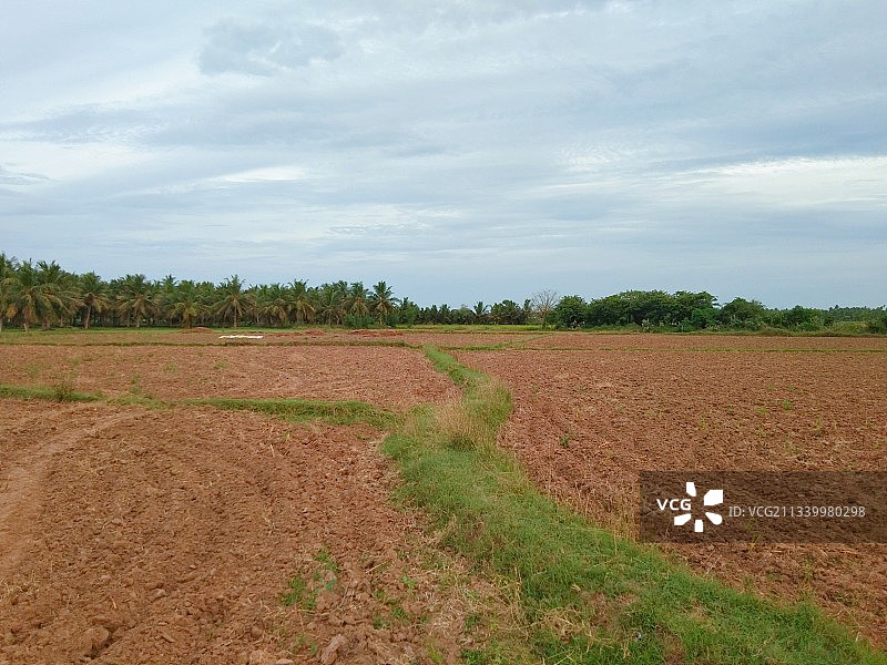 天空映衬下的农田风景图片素材