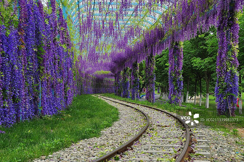 木兰草原风光图片素材