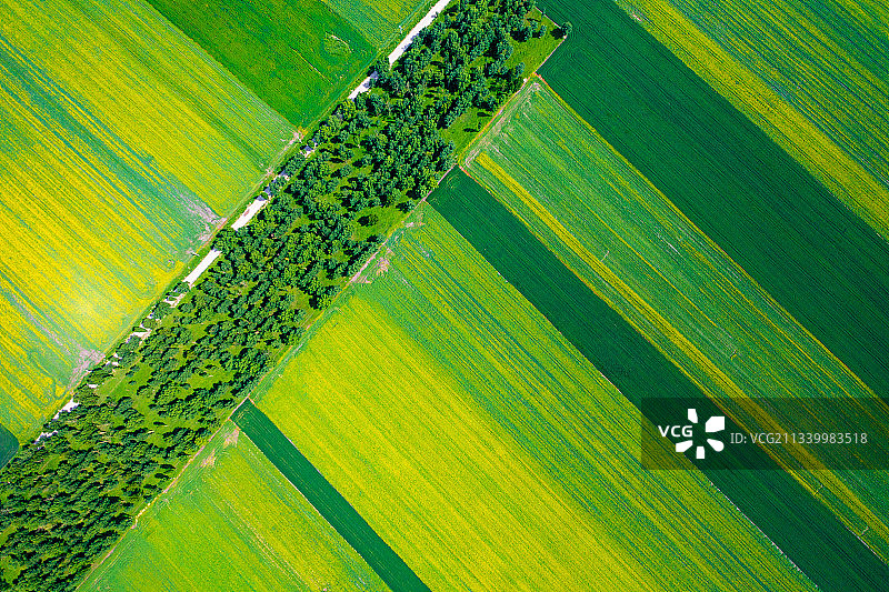 航拍伊犁唐布拉百里画廊图片素材