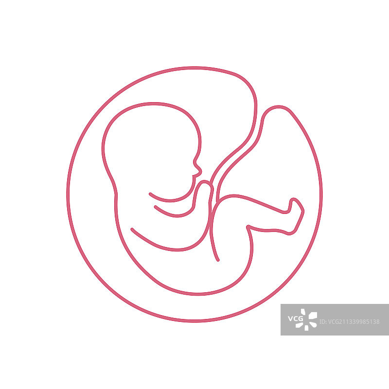 带有脐带的子宫标志图片素材