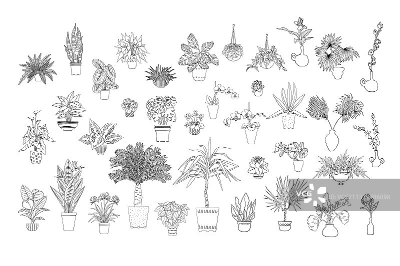 各种单色热带盆栽图片素材