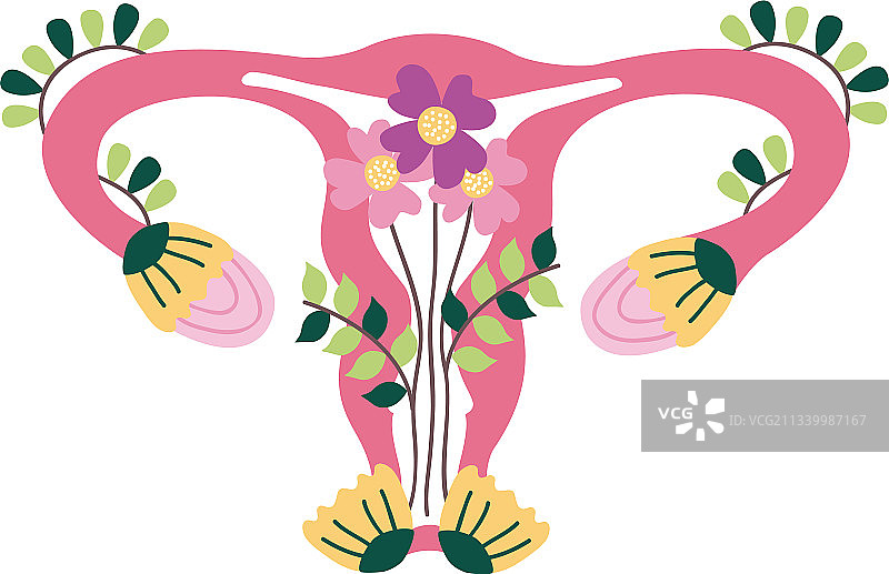 花朵装饰的子宫图片素材