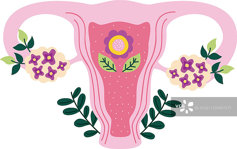 女性私处与树叶图片素材