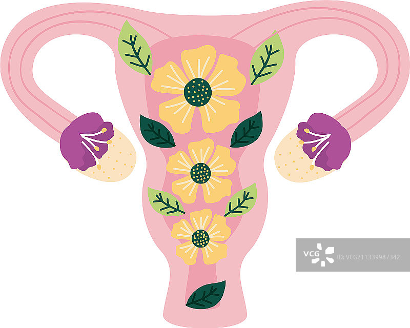 子宫与黄色花朵图片素材