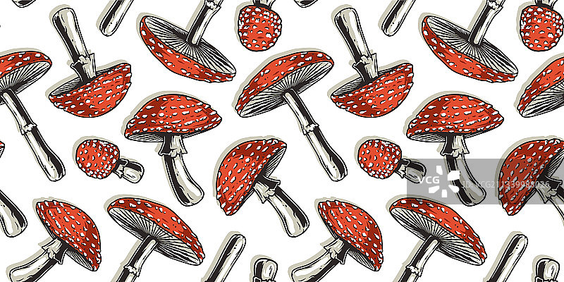 采摘蘑菇：毒蝇伞图片素材