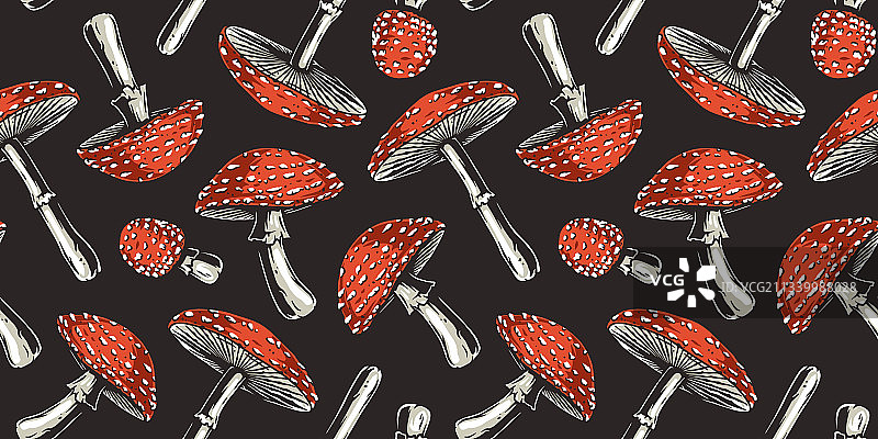 采摘蘑菇：毒蝇伞图片素材