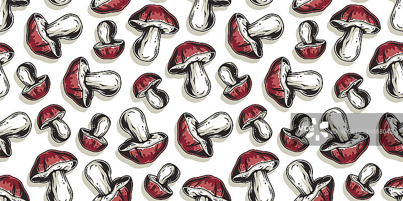 采摘蘑菇：牛肝菌图片素材