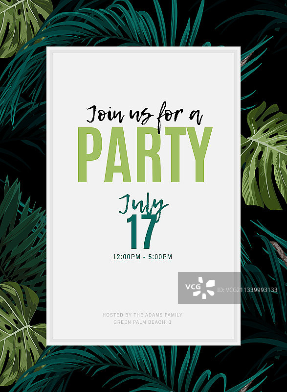 深色热带风情设计与异国龟背竹图片素材