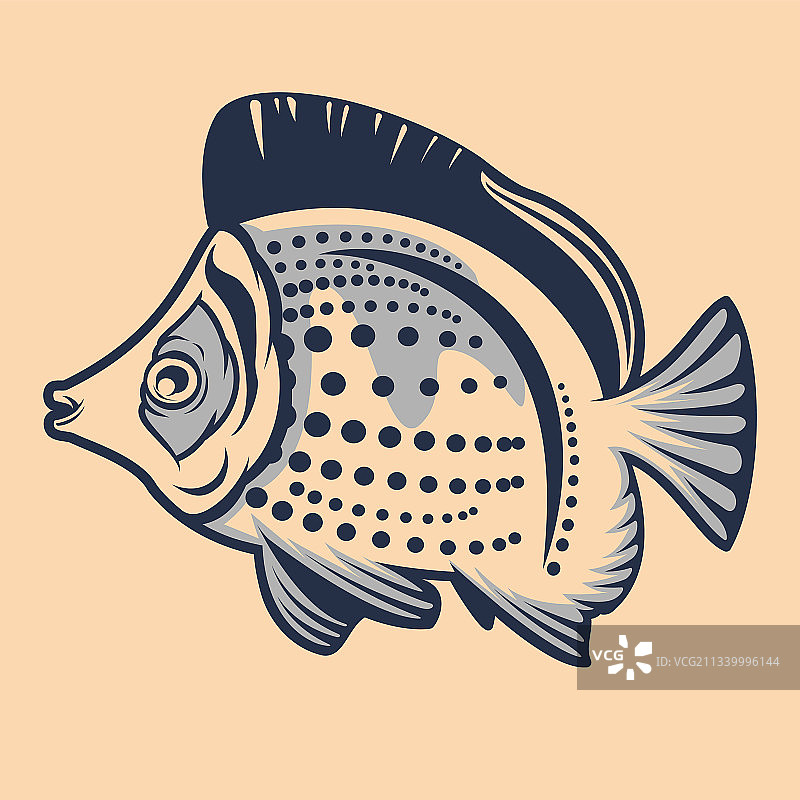 白色背景上的图案热带鱼图片素材