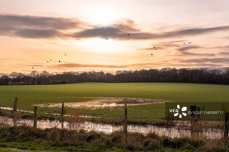 英国西萨塞克斯落日下的田野风光图片素材