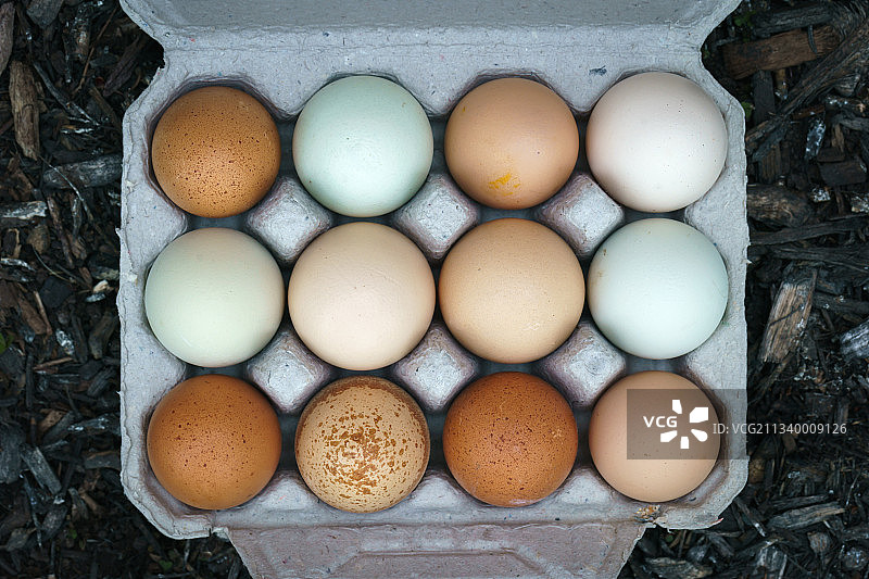 美国艾奥瓦州贝滕多夫的鸡蛋盒俯视图图片素材