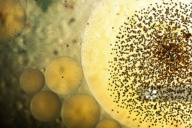 湿玻璃全画幅特写图片素材