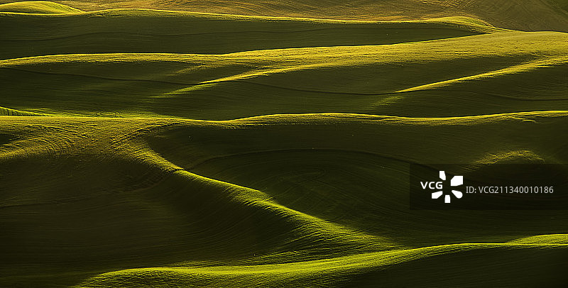 绿色景观全画幅照片，美国华盛顿州加菲尔德图片素材