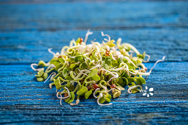 桌子上蓝色花朵的特写图片素材