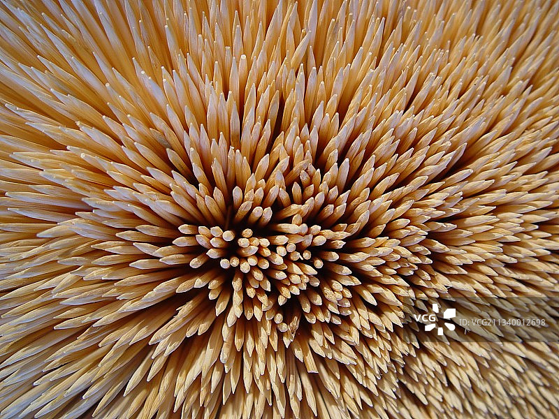 牙签全画幅照片图片素材