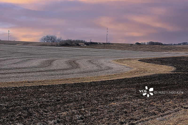 美国明尼苏达州罗切斯特日落田野风光图片素材