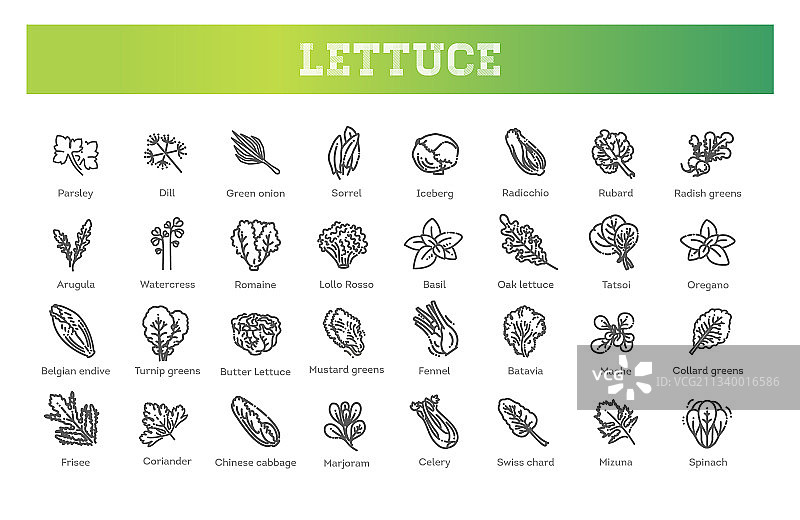 绿色蔬菜扁平线条图标集图片素材