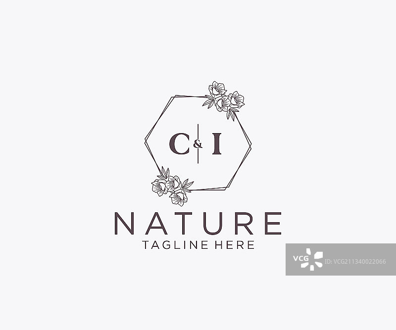 CI字母花卉植物边框图片素材