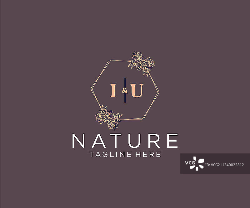 IU首字母花卉框架植物logo图片素材