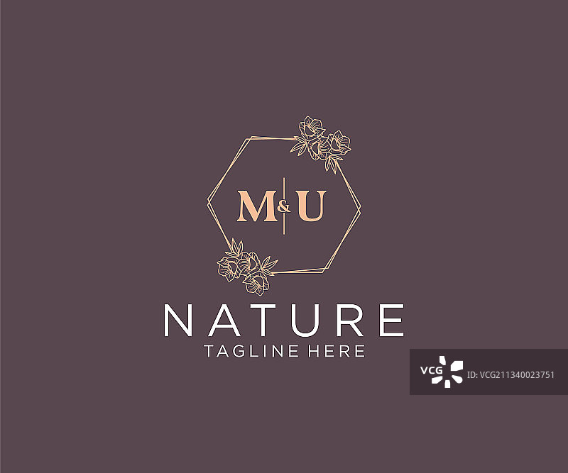 首字母mu花卉框架植物图案图片素材