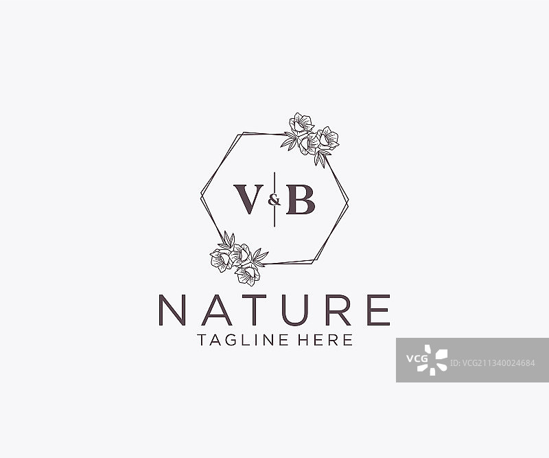 首字母VB花卉边框图片素材