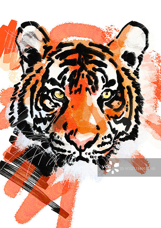 老虎手绘插画图片素材