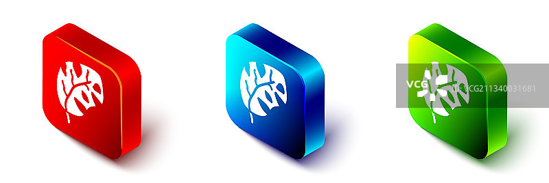 2.5D热带棕榈叶图标图片素材