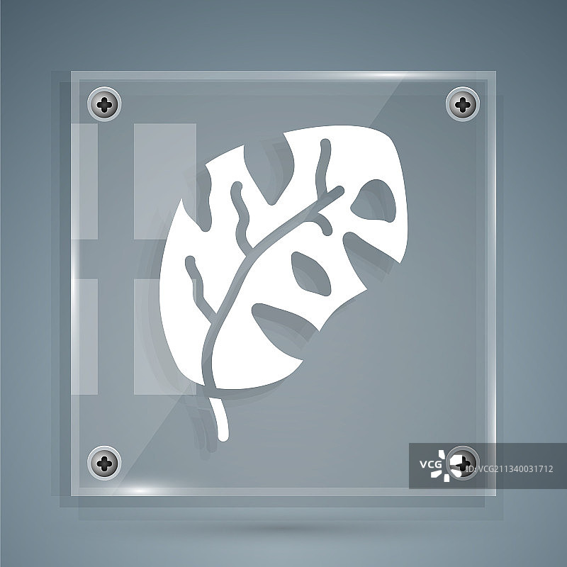 白色热带棕榈叶图标（隔离）图片素材