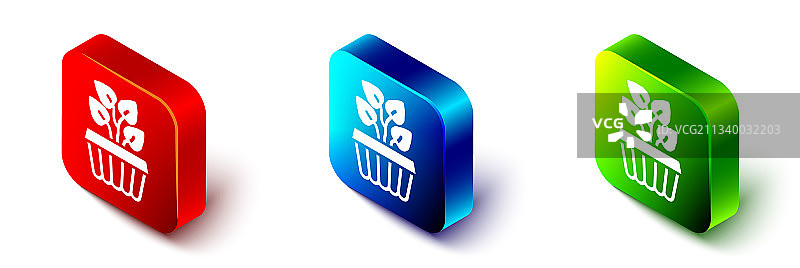 2.5D盆栽常春藤室内植物图标图片素材