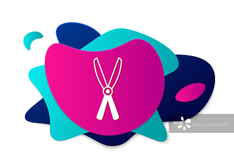 用于修剪的彩色园艺手工剪刀图片素材