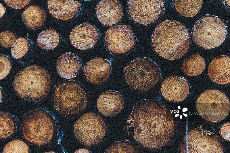 原木的完整框架图图片素材