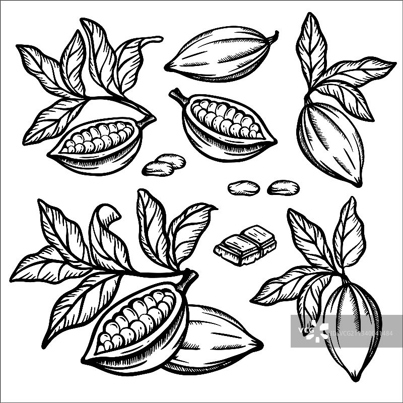 巧克力可可单色剪贴画图片素材