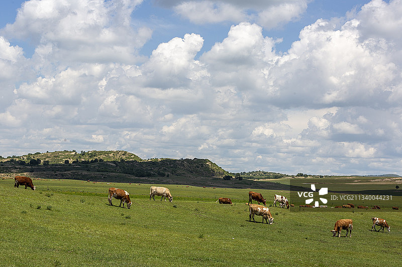 多伦穿越图片素材