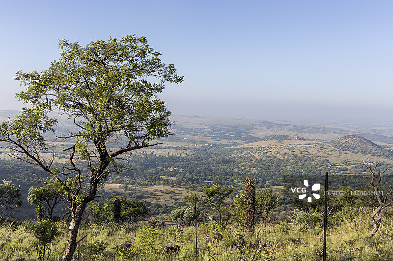 南非比勒陀利亚的晴空景观图片素材