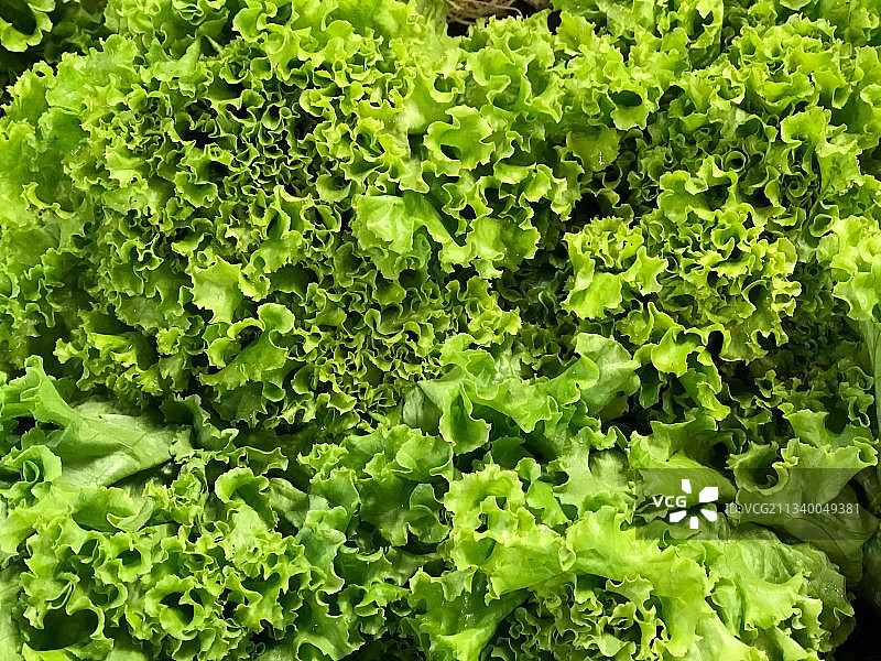 生菜特写图片素材