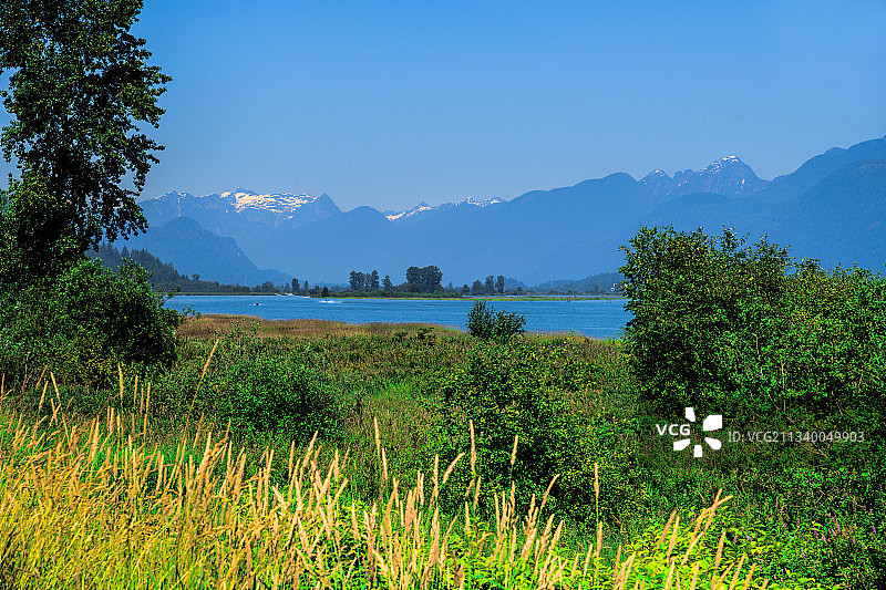 加拿大不列颠哥伦比亚省科quitlam港的蓝天田野风光图片素材