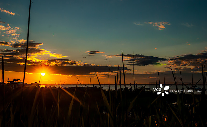 纽约火岛日落时分迷人的田野剪影图片素材