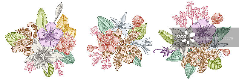 粉彩丽丽娅费约果花花束图片素材