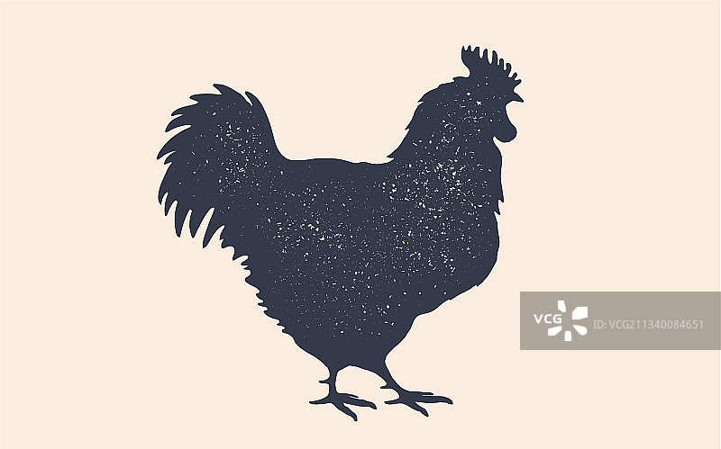 公鸡家禽剪影图片素材