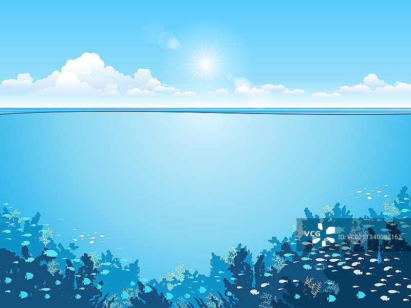 海洋水下动物世界图片素材