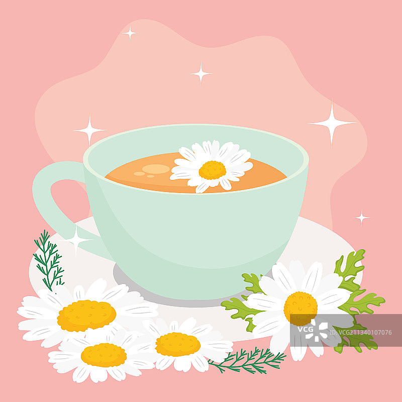 洋甘菊茶杯图片素材