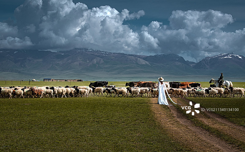 草原牧歌图片素材