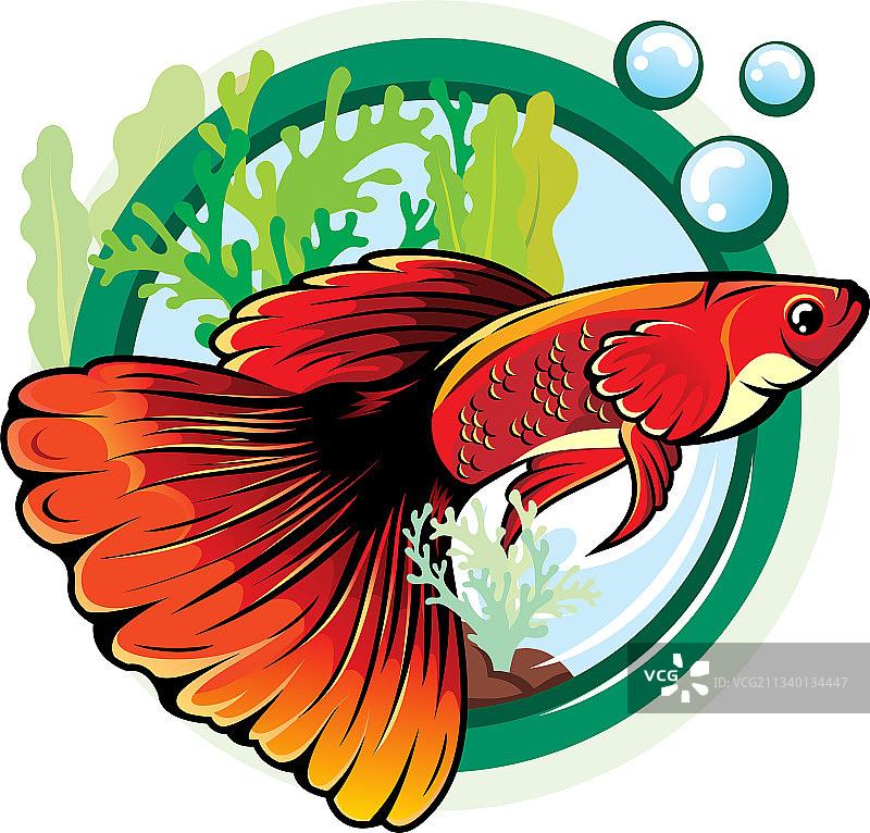 孔雀鱼标志图片素材