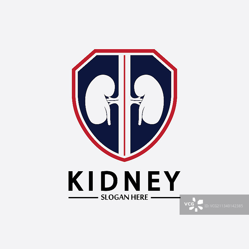 肾脏保护标志模板设计图片素材