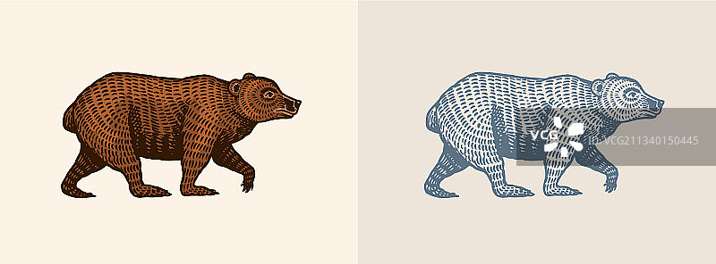 复古风格的棕色野生灰熊图片素材