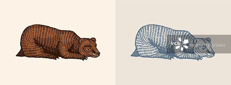 复古风格的棕色野生灰熊图片素材