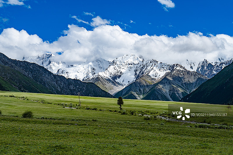 中国新疆伊犁昭苏夏塔古道西天山汗腾格里峰与花海图片素材