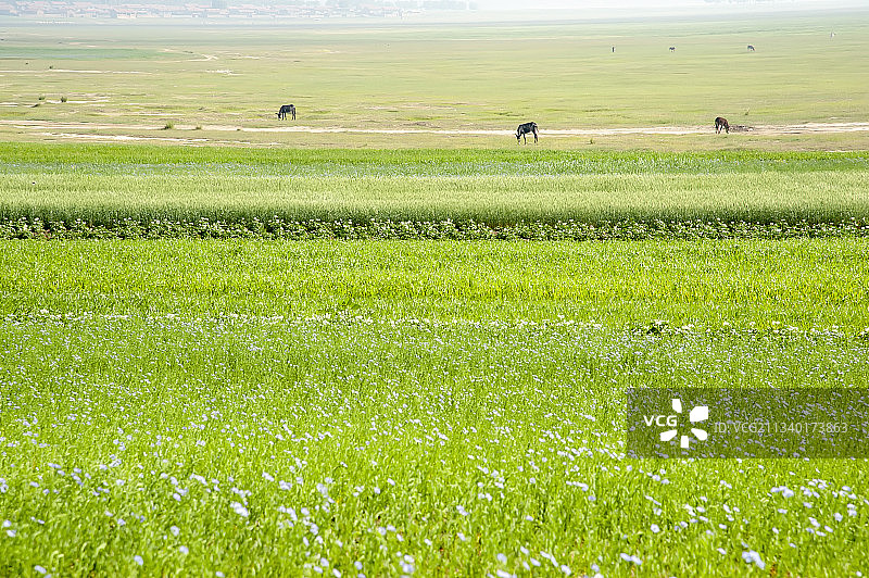 201-07-16中国，河北省，张家口市，张北县，自然风光图片素材