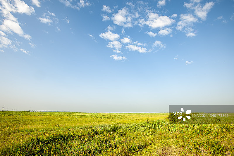 201-07-16中国，河北省，张家口市，张北县，自然风光图片素材